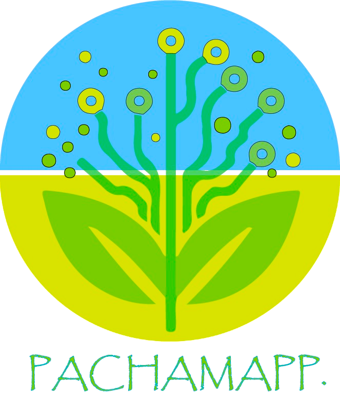 Pachamapp Logo